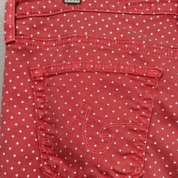 AG Adriano Goldschmied  the Stevie Ankle Slim Straight Jean - Picture 10 of 13